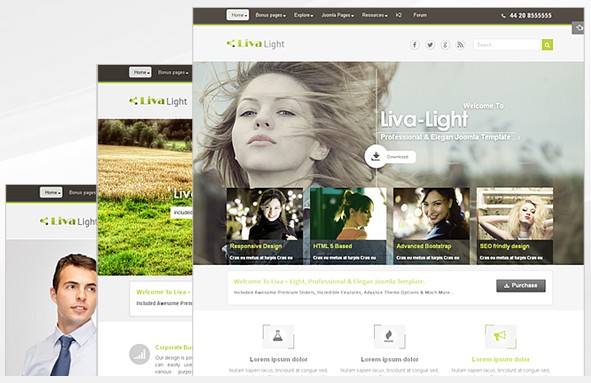 livalight 4 Template